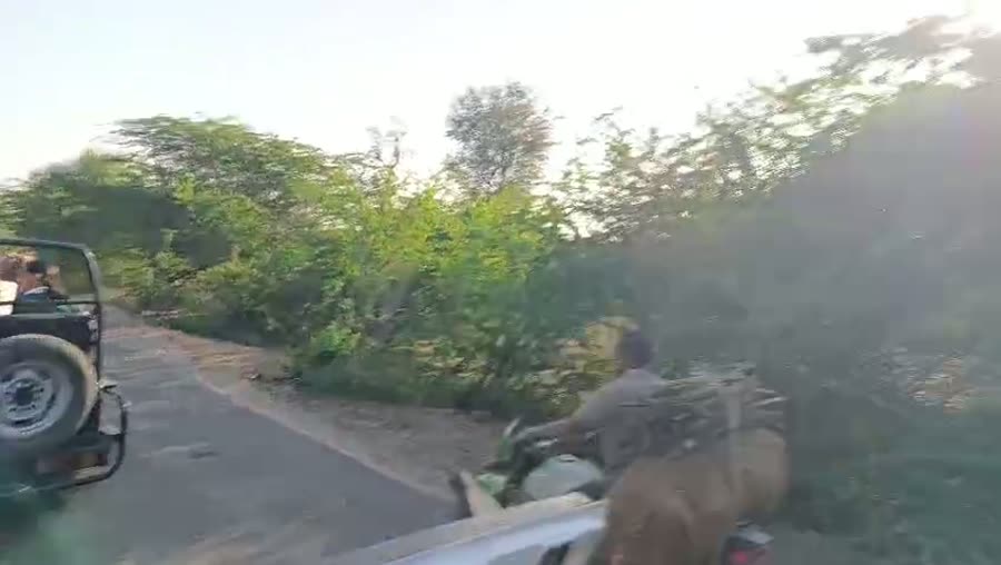 On the Road to Jawai